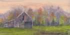 Old Barn In Green Field 4 Art Print