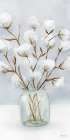 Cotton Jar Art Print