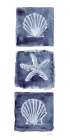 Shells Star Indigo Art Print