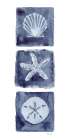 Shells Star Dollar Indigo Art Print