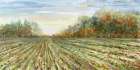 Autumn Field Art Print