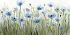 Blue Poppy Art Print