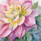 Dahlia Pink 3 Art Print