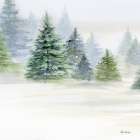 Pine Trees 4 Art Print