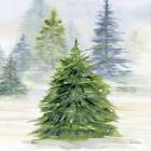 Pine Trees 5 Art Print
