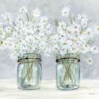 Daisies In Jars 3 Art Print