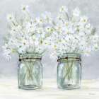 Daisies In Jars 4 Art Print