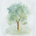 Vibrant Tree 1 Art Print