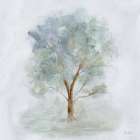 Tree 1 Art Print