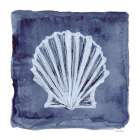 White Shell Indigo 1 Art Print
