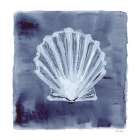 White Shell Indigo 2 Art Print