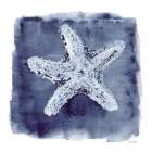 White Shell Indigo 3 Art Print