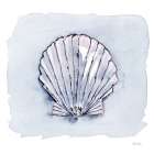 Blue White Scallop 2 Art Print