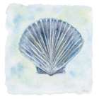 Blue Scallop 1 Art Print