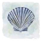 Blue Scallop 2 Art Print