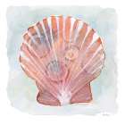 Peach White Scallop 1 Art Print