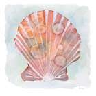 Peach White Scallop 2 Art Print