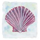 Purple White Scallop 4 Art Print