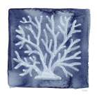 White Coral lndigo Art Print