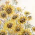 Sunflowers In Watering Can 4 Art Print