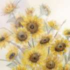 Sunflowers In Watering Can 5 Art Print