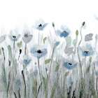 Dusty Blue Poppy Art Print