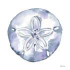 Blue Sand Dollar Art Print
