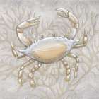 Drawing Nautical Crab Art Print