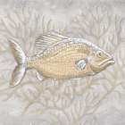 Drawing Nautical Fish 2 Art Print