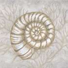 Drawing Nautical Spiral Shell Art Print