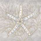 Drawing Nautical Starfish Art Print