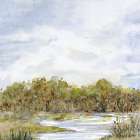Trees On Marsh 1 Art Print
