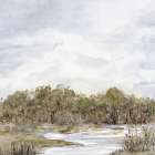 Trees On Marsh 2 Art Print