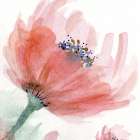 Coral Pink Flower 1 Art Print
