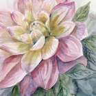 Dahlia Pink Art Print