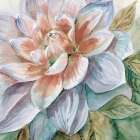 Dahlia Art Print