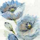 Blue Poppy 2 Art Print