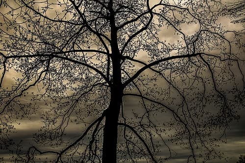 Conversation Of Earth Landscape Print