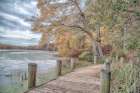 Blydenburg Park Art Print