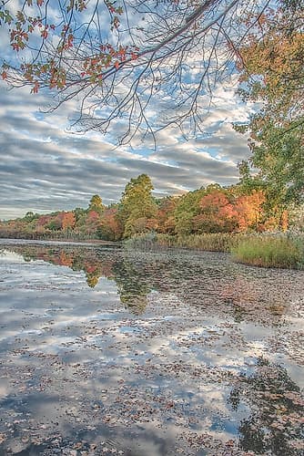 Bayport Fall Coastal Print
