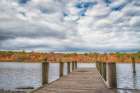 Blydebburg Park Art Print
