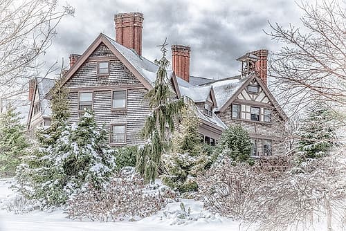 Aboretum December 1 Landscape Print