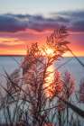 Exhilarated Potential Art Print