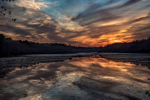 Priority Of Reflection Coastal Print