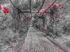 A Peaceful Pathway Art Print