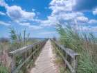 Along the Walkway Art Print