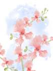 Abstract Floral Pastel Orchids Art Print