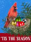 Cardinal Nest Art Print