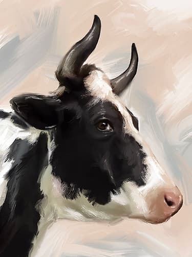 Farm Cow Art Print
