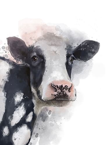 Farm Cow 2 Art Print